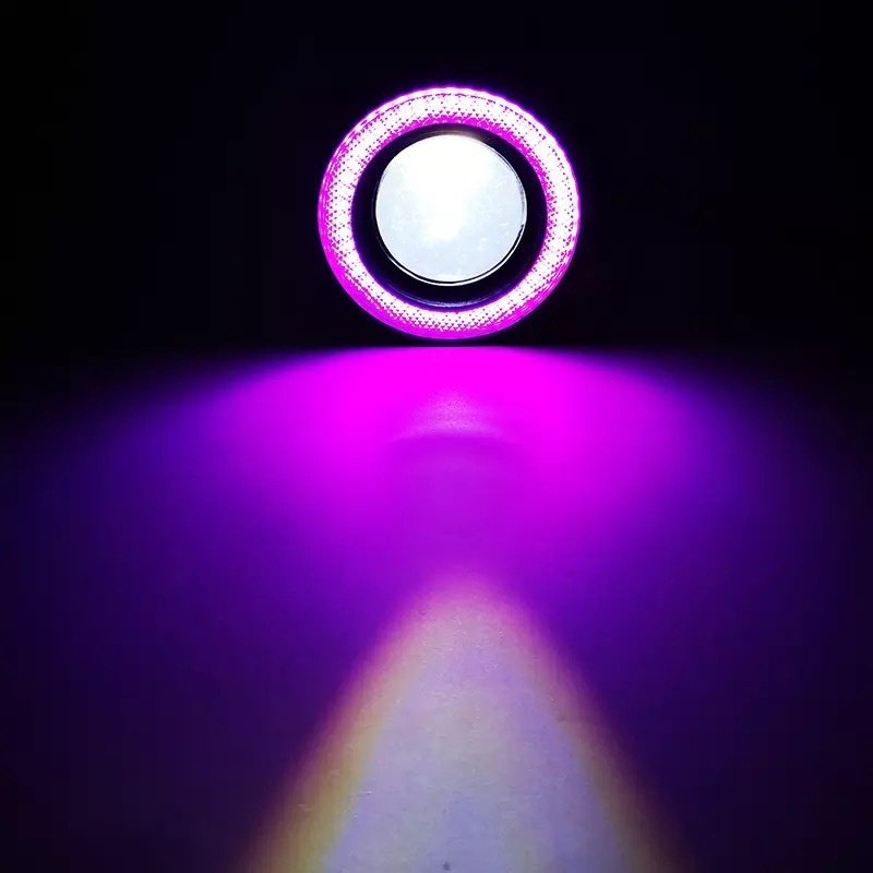 Car Led Lens 30W Fog Lamp 3inch with Cob Blue Angel Eye Ring Modified Bull's Eye Fog Lamp Daytime Running Light