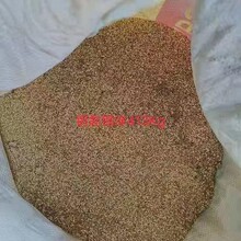 ���t�~�߃r�����Ϙ�U�S�~м���T�F��֧��