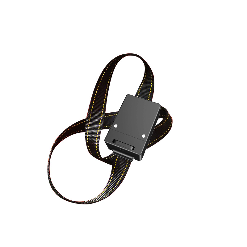 待机3年防拆计步运动量电池可更换智慧畜牧监管项圈GPS北斗定位器