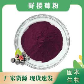 野樱莓果粉 黑果腺肋花楸果粉 水溶性不老莓粉 野樱莓提取物 现货