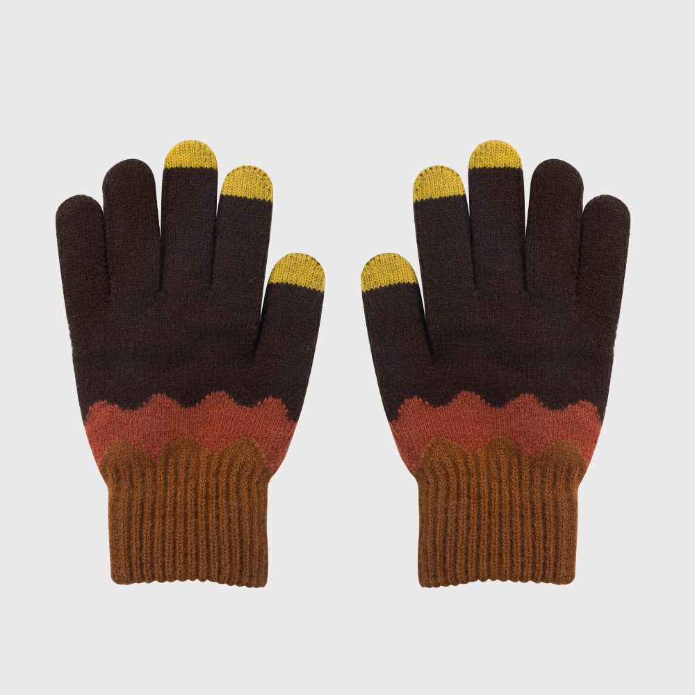 New Gloves Winter Plus Velvet Warm Touch Screen Gloves Fashion Cute Gloves display picture 6