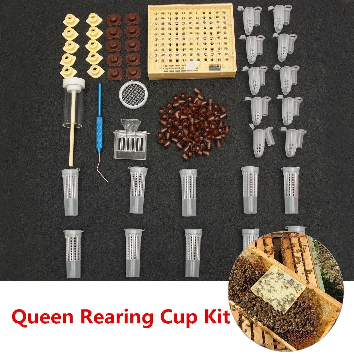 Hot-Sale-155pcs-plastic-Queen-