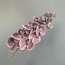 ������^�����m3D��ӡ�ָб����c�b廨�ٻ����滨��������