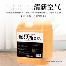 空气清新剂大桶香水香薰液五酒店除异味卧室家用持久留