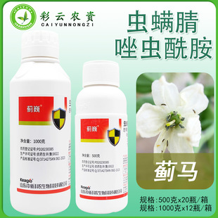�п����r�EΡ20%�x�\�����x�����Ҹ��������E�Rș�rș�E�R���x��
