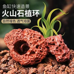 Volcanic Stone Ring, Aquatic Plant Ring, Punched Planting Ring, Fixed Base Sinking Ring, Fish Tank Landscaping Decorative Planting Device