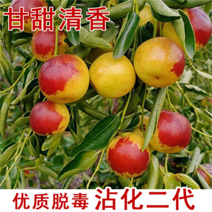 մ���������旗���ɗ����翹�����Ե��Ժ��B�׻�����z������