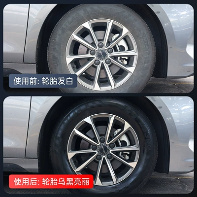 Protective Coating Agent, Cleaning/curing agent