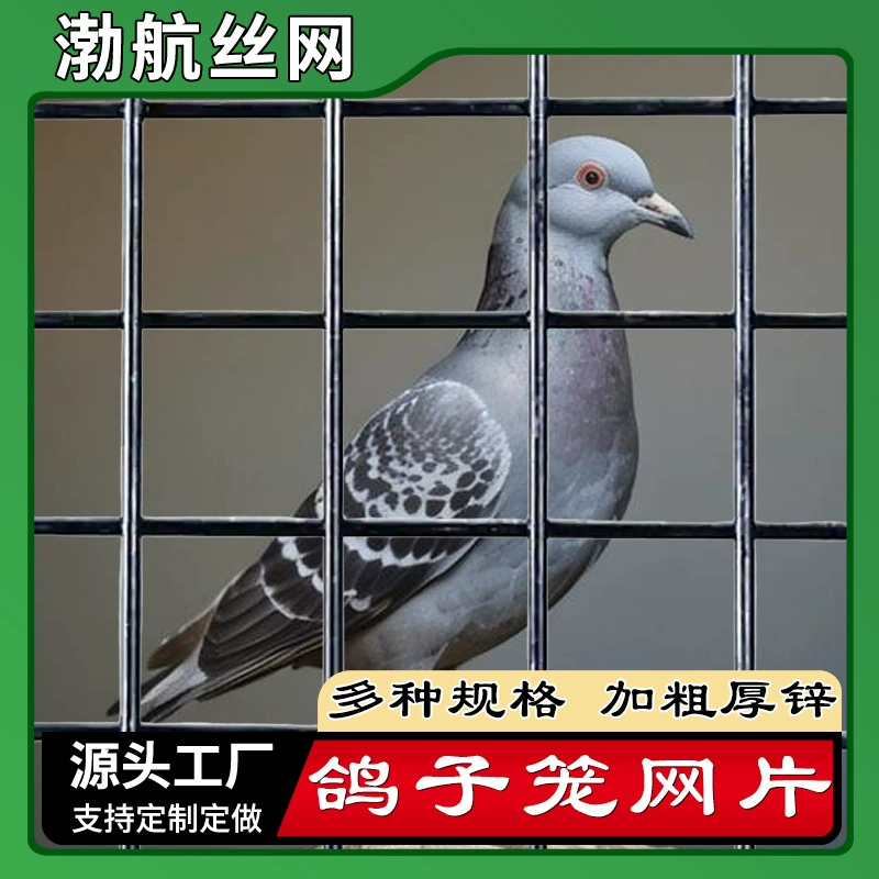 Pigeon cage mesh large breeding extra-large pigeon cage bold and encrypted training cage large iron cage door net