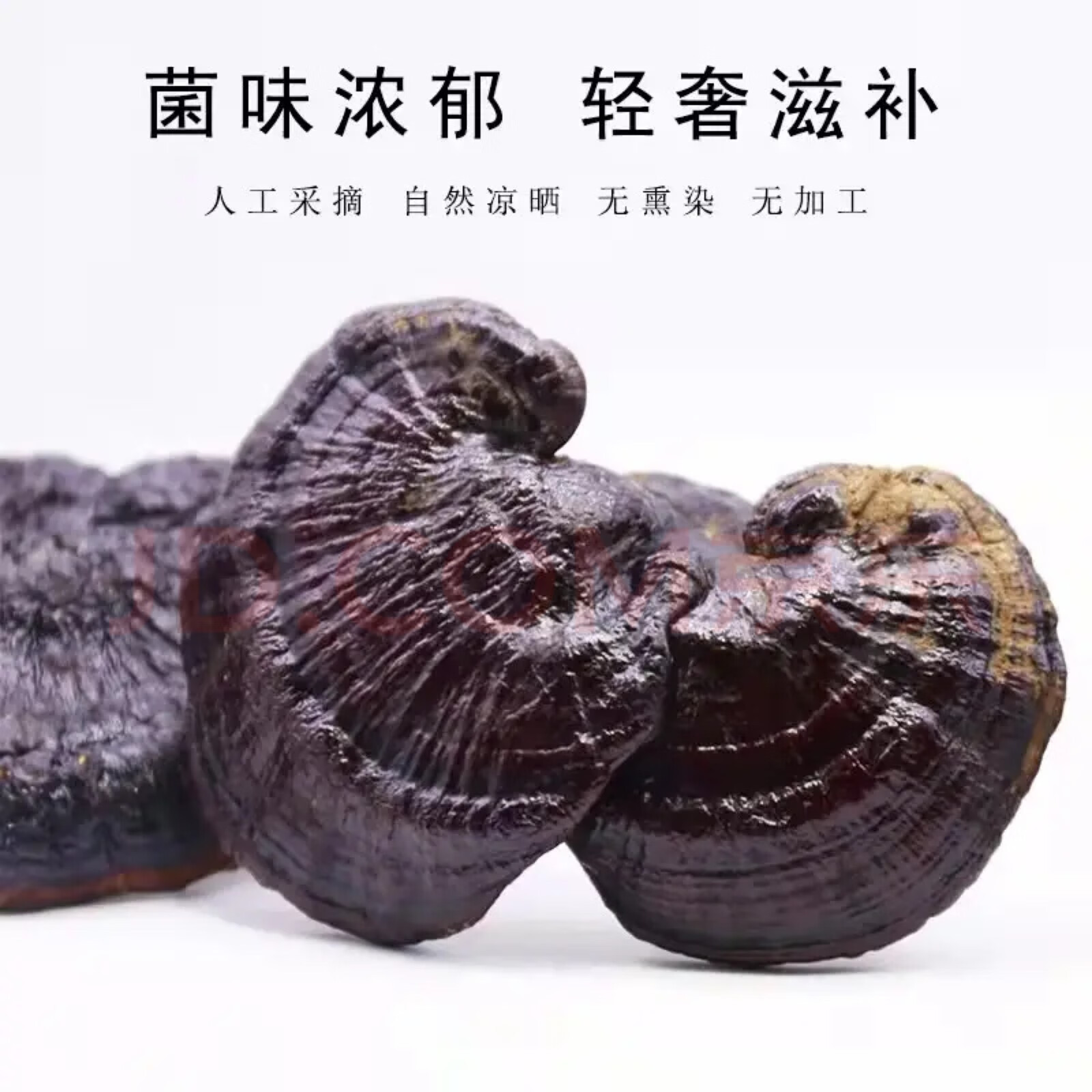 Lingzhi Reishi Mushroom 500g Whole Dried Ganoderma Slices for Tea and Soup key features