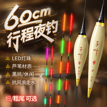 ���L�г��JȔҹ��ƯOLED늹�Ư60�L�ڿӸ������`��Ӳβ׃ɫҹ��Ư