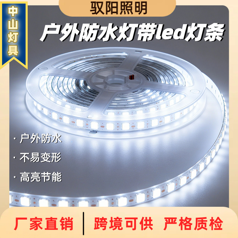 Zhongshan Lighting Outdoor Light Strip Led High Voltage Waterproof Drive-Free Self-Adhesive Engineering 220V Super Bright Flexible Silicone Light Strip
