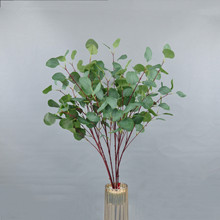 �����O���~��ɫ�~�ӻ�Y�Ƶ��b��Gֲ�~�zӰ���߼ٻ����滨���l