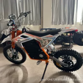 其他电动车;两轮摩托车;滑板车