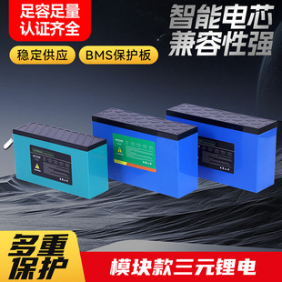 外貿專供 電動自行車專用48v12ah鋰電池 工廠直供三元鋰/磷酸鐵鋰