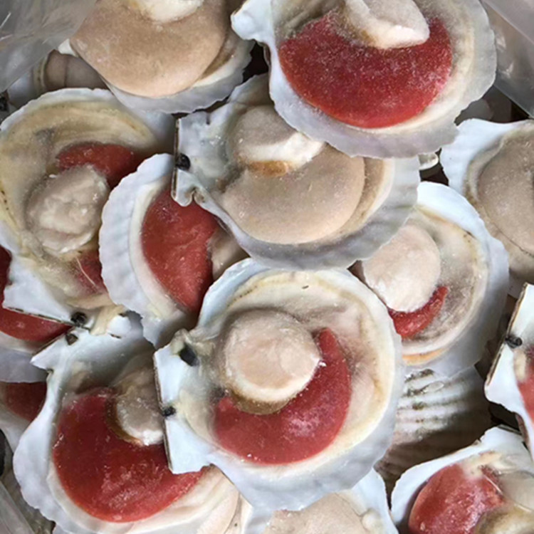 2020_06_23_13_16_IMG_7978_副本