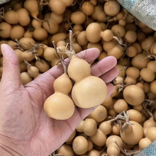 С���J��Ȼ���J������������[������S�ҵؔ�С����Ҿӿ���