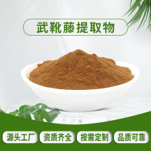 武靴藤提取物 武靴藤酸75% 希杰科生物 量大从优 匙羹藤提取物