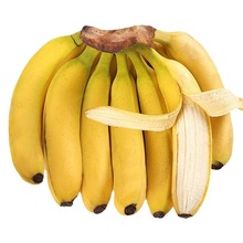 云南高山大香蕉批发整箱2/10斤当季自然熟小蕉芭蕉