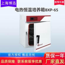 上海博迅BXP-65电热恒温培养箱烘箱样品实验室烘干不锈钢液晶显示