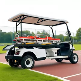 高尔夫球车;电动观光车;其他电动车