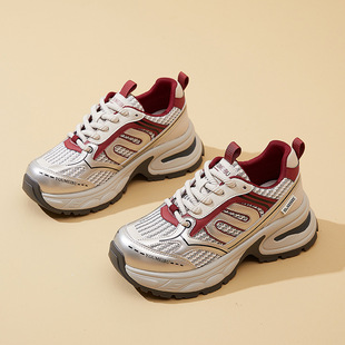 �����ϵ�ЬŮ����ͬ����2024�����¿�W��͸�������\�����eЬ