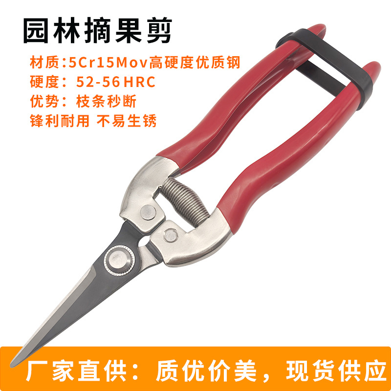 SK5钢果枝剪高硬度发黑铁柄剪子疏果摘果葡萄橘子园林花枝剪刀