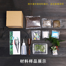 diy材料15cm切口苔藓微景观包创意玻璃球生态瓶子摆件礼品物套装