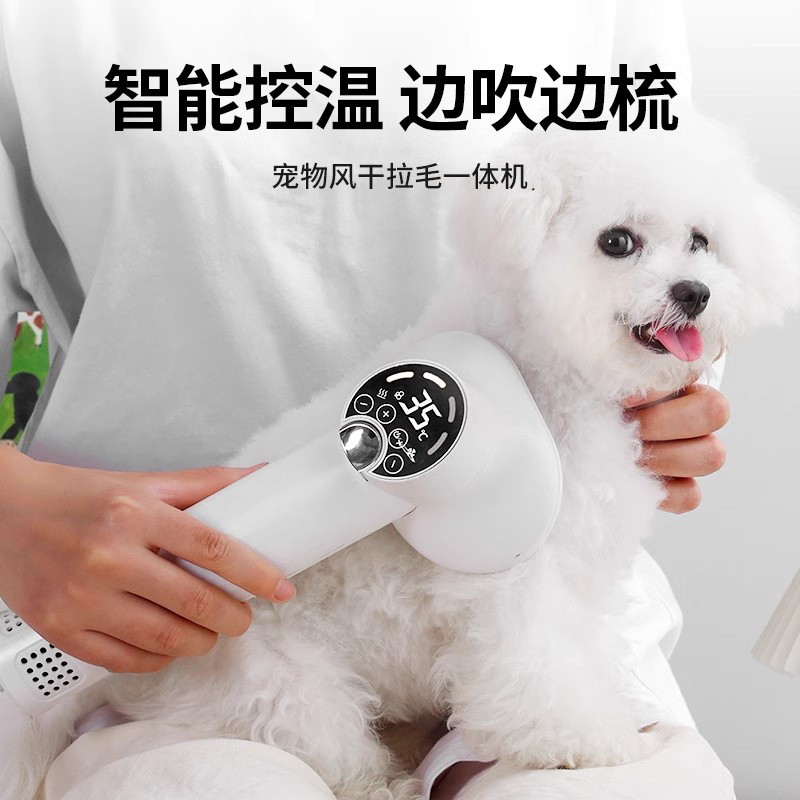 스마트 애완동물 헤어드라이어, 블로우 및 빗 일체형 기계, 개 목욕, 테디, 팬더, 고양이, 포메라니안 특수 헤어드라이어
