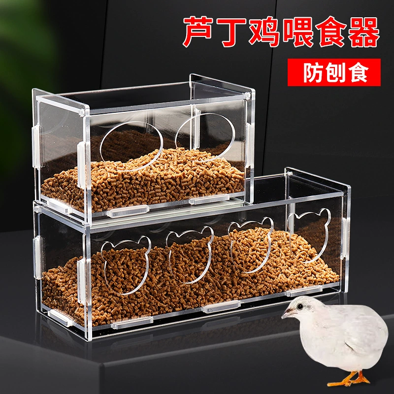 Коробка для курицы с кормушками для кормушки