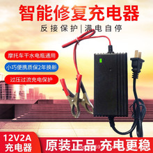 定制12V2A喷雾器充电器单块电池汽车电瓶适用8AH20充电机可充电