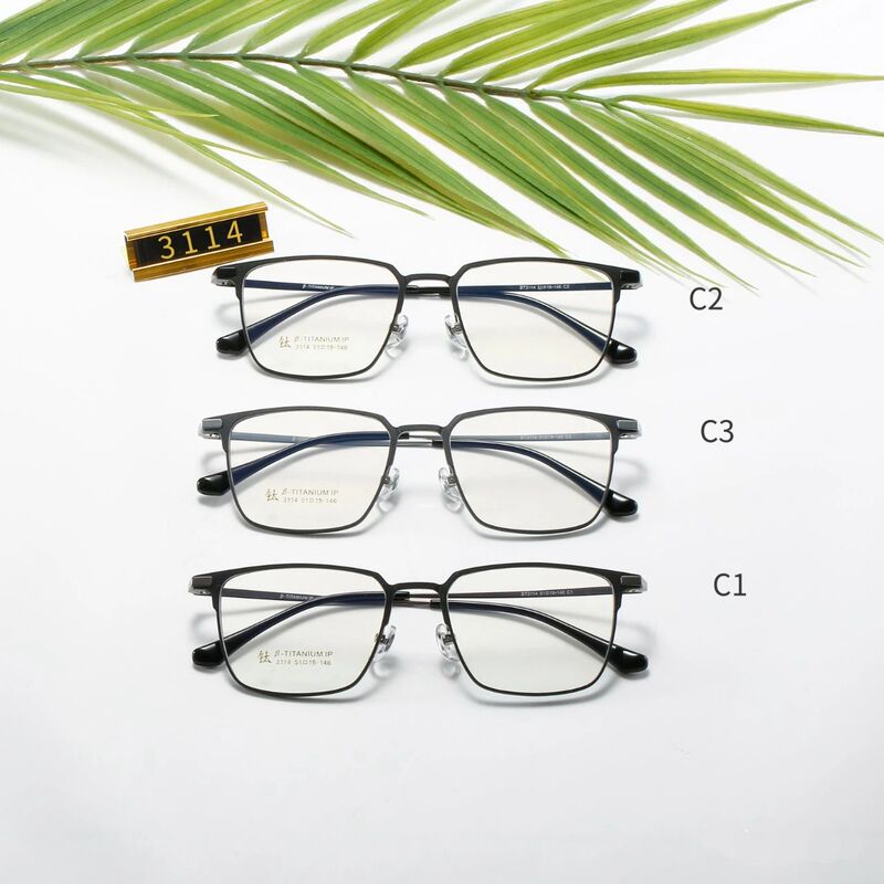 Aviation aluminum magnesium glasses frame IP plating ultra light durable non fading alloy youth fashion with myopia boutique 3114 Aviation aluminum magnesium glasses frame IP plating ultra light durable non fading alloy youth fashion with myopia boutique 3114