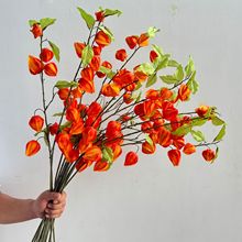 ���Q������\����{����ɫϵ�й������յ��߼Ҿ��b�ˇ���ϼٻ�