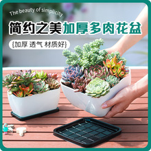 批发欧林泽家用多肉花盆透气花盆花盆带盆托一体客厅阳台多肉花盆