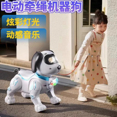 新款儿童电动玩具牵绳宠物狗走路发光玩具机械狗夜市地摊批发现货