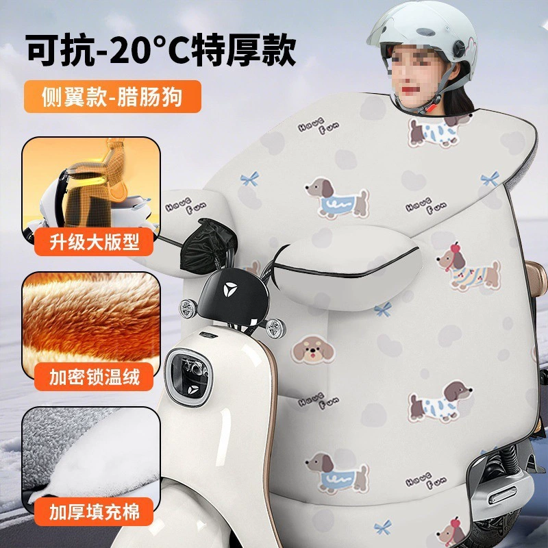 Ветрозащита Winter waterproof universal electric car