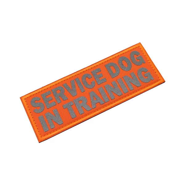 Service+in orange