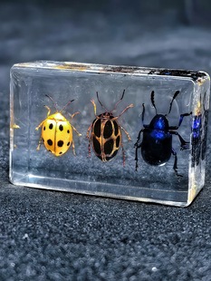 �˹�����͸����֬���x�˱�Λρ����x�ݿ����J֪��������^��̌W