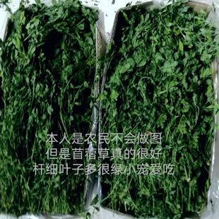 25���ϻ���ޣ�üZ�ݺ��m�i��؈�����~�����ޣ�ݕ����ޣ���~��