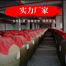 Fę́悻ƏSlɢbɳuͰ׾53Ͼl