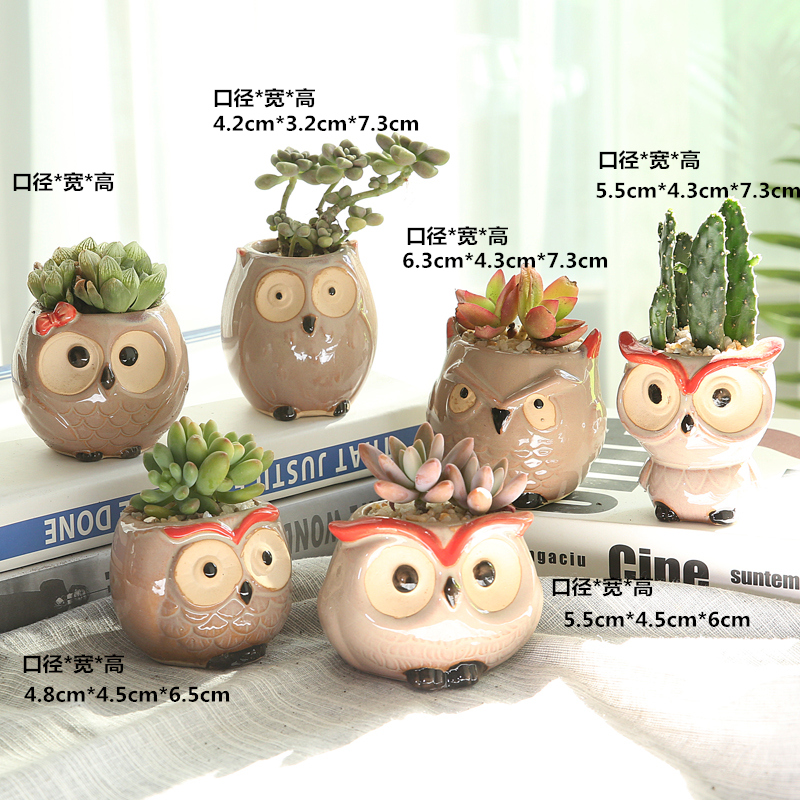 도자기 - 6개의 귀여운 올빼미 조합을 잡아보세요 - 조합