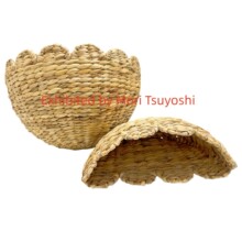 �ڒ�ʽ�ռ{�@����@�Ҿ������b�����s���ռ{��ڒ�@�پ�