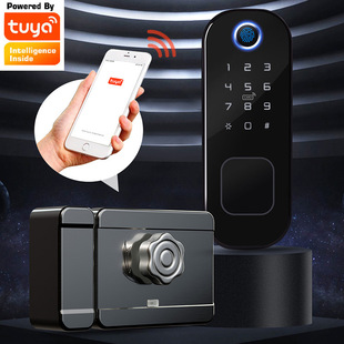 Tongtong graffiti cross-border smart cow head lock outer door lock wifi remote management foreign trade door lock home rental