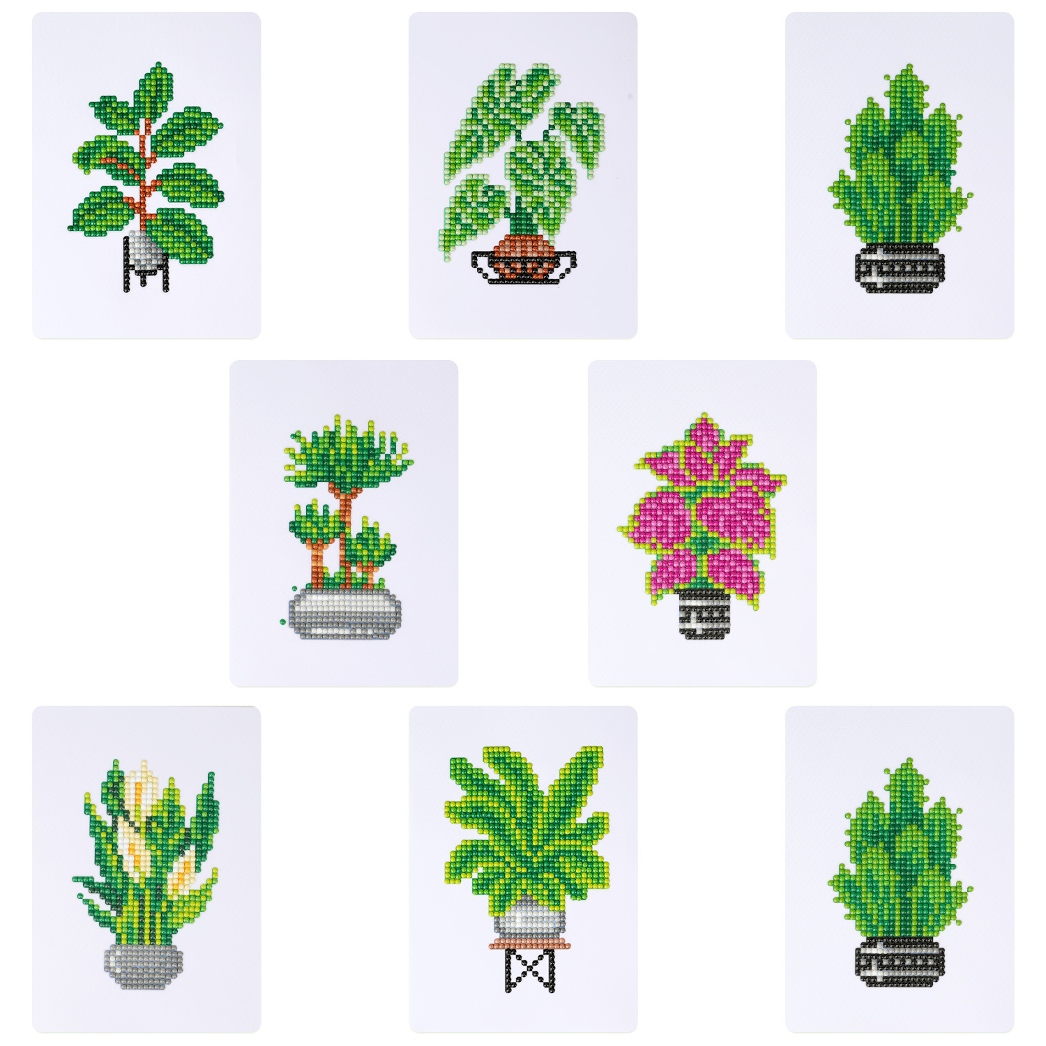 Plantas de interior NB030