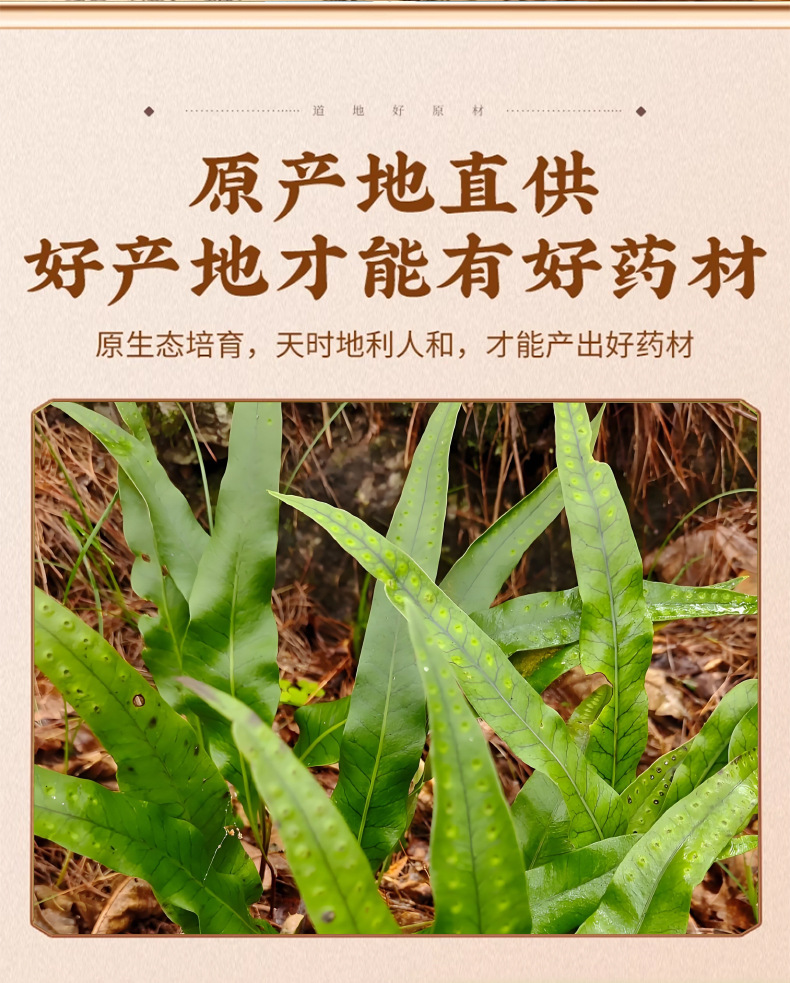 Hua Shi Cao Dried Herb Tea 500g Traditional Chinese Kidney Support Herbal Infusion key features