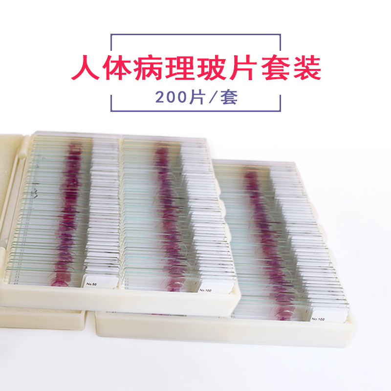 人体病理切片高教标准HE染色结构病理组织学玻片200片装