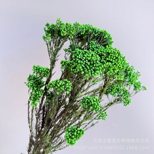 ���ӹ����ơ�С�׻��������滨�������r��DIY��ļҾ��b廨