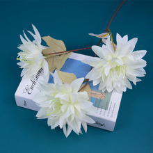 צմջcŽ ¿3^c滨3^