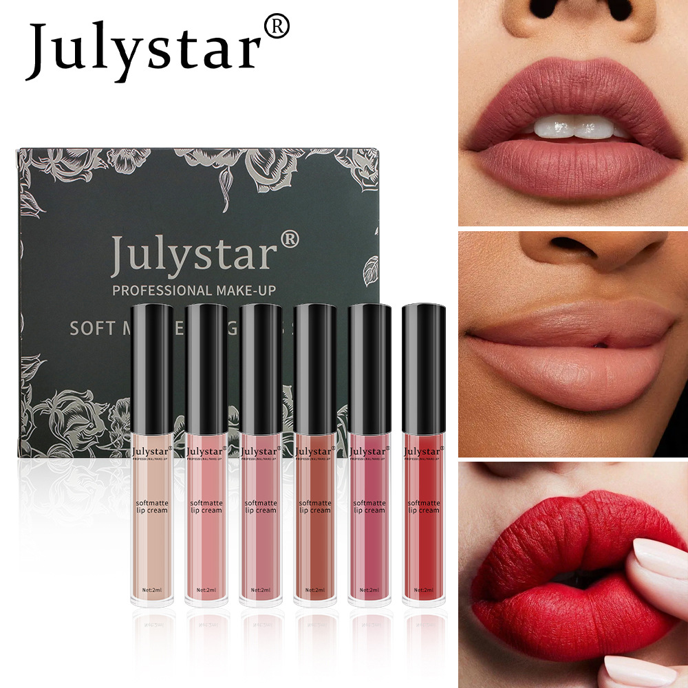 carina Makeup matte, multi-color lip gloss, easy to apply color, long-lasting, fading, non stick cup lipstick set box_voghion.com