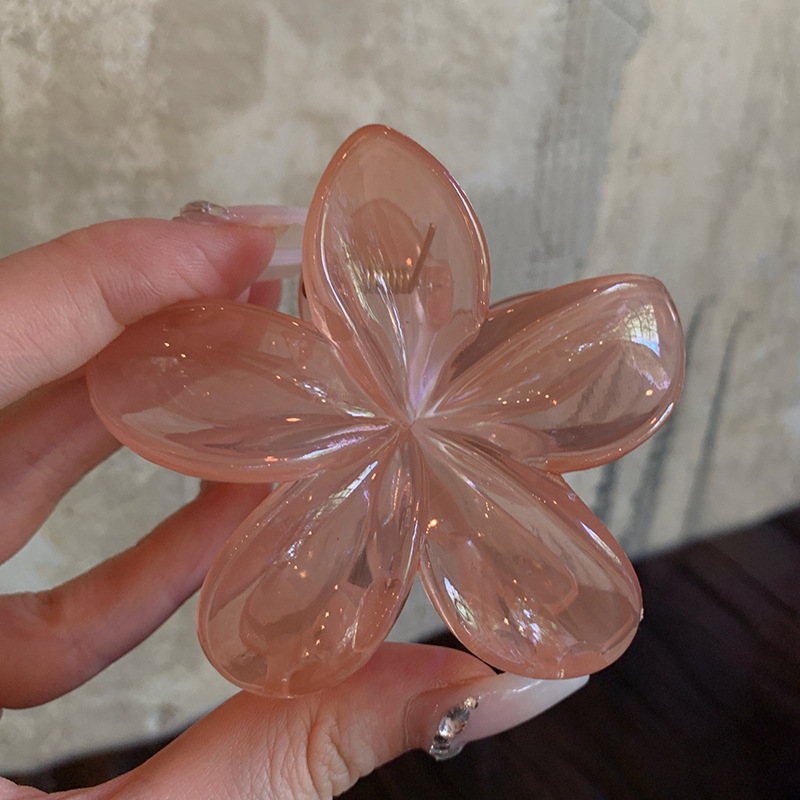 跨境复古果冻鸡蛋花抓夹六件套装后脑勺盘发夹鲨鱼夹发爪发卡发饰|undefined